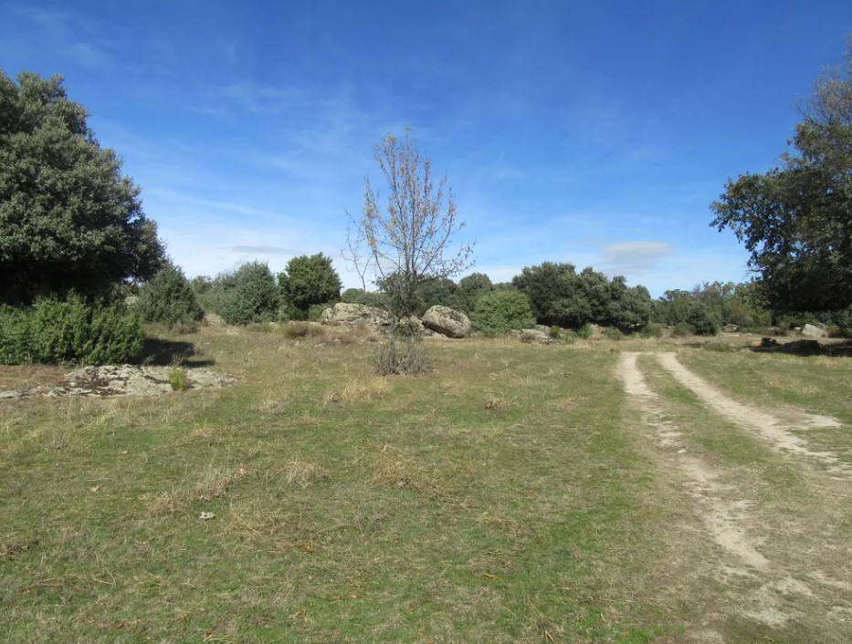 foto-61 Venta de Finca ganadera y caza mayor en C&oacute;rdoba